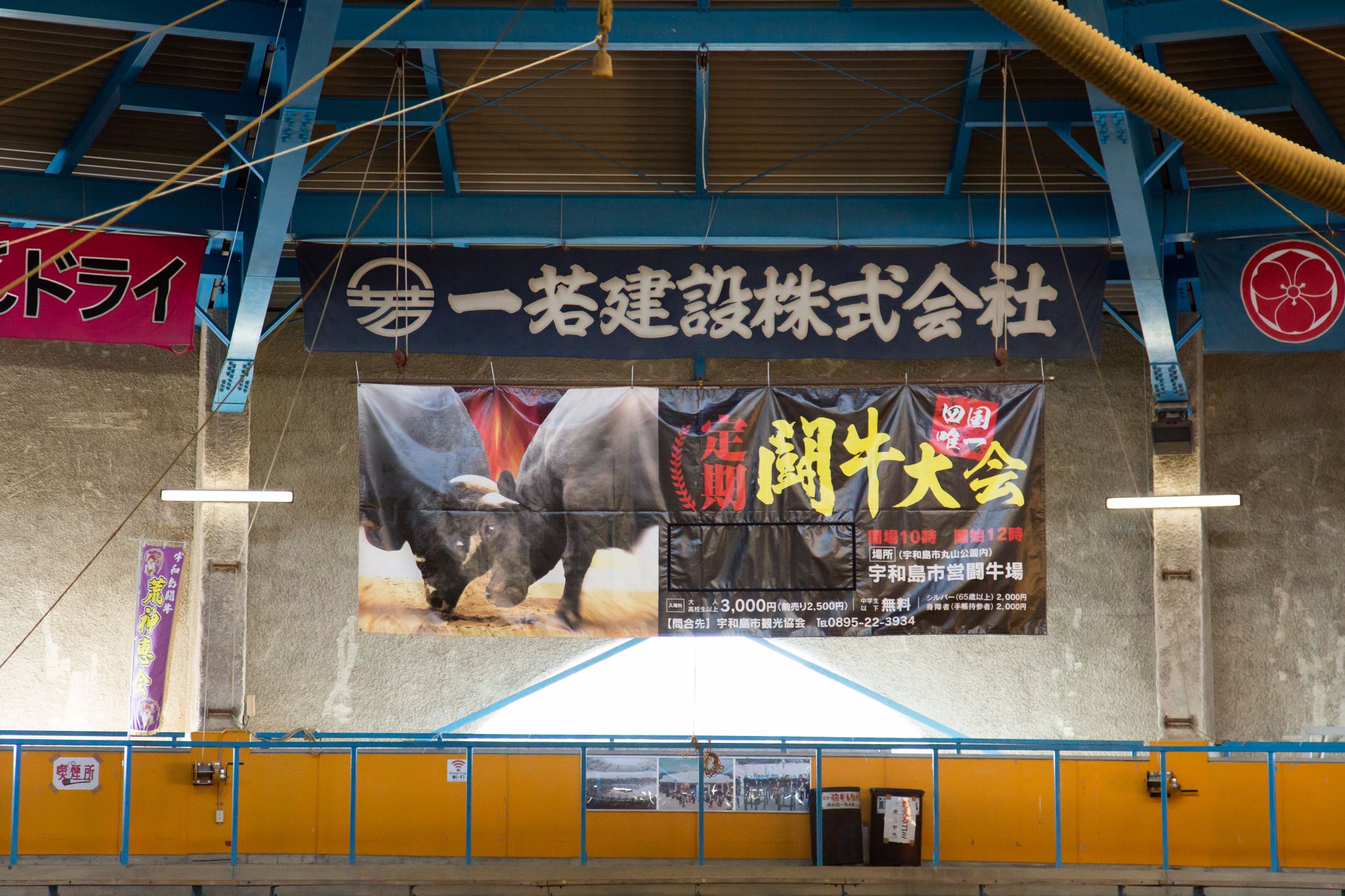 bull fighting banner